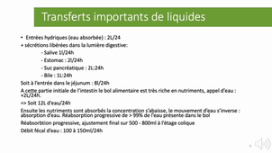 2.2 - Physiologie digestive - p 4