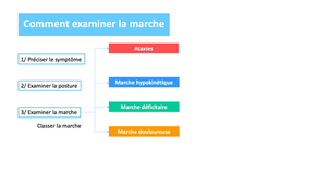 DFGSM2 - MED0308 - Sémiologie neurologique - Apparition d'une difficulté à la marche