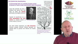 Histoire des classifications - capsule 3
