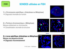 DFGSM2 - MED0307 / DFGSM3 - MED0601 - Génétique médicale seq 20