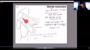UE24 EC2_Gland mammaire - P9