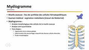 L.AS 3ème année - Semestre 2 - UE 64 - Hématologie - 8