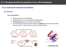 UE 14 - Biochimie 1