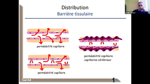 L.AS SpS - UE 23 - Pharmacologie - Notions de pharmacocinétique (Partie 2)