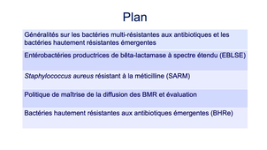 DFGSM3 - MED0501 - BMR et BHRe - Introduction