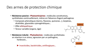 PASS - UE 15 - Evolution, Ecologie, Environnements - Relations trophiques dans un écosystème (Partie 2)