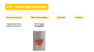 DFGSM2 - MED0308 - Sémiologie neurologique - Anomalies du liquide cérébro-spinal