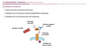 DFGSM2 - MED0302 - Progression métastatique - Angiogenèse tumorale