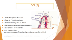 2.10 - les risques infectieux intra vasculaires partie 3