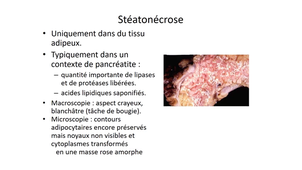 UE MED0302 - Notions fondamentale de pathologie - Séq 5