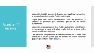 PASS / L.AS - UE 21 - EC 4 : Unité foeto-placentaire - La circulation foetale
