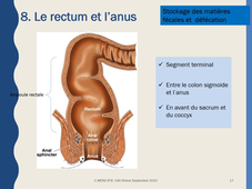 UE 2.2 Anatomie de l'appareil digestif - partie 1