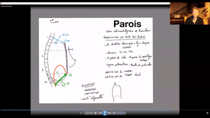 Paroi thoracique et diaphragme - P2