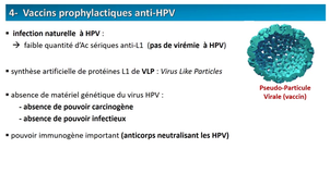 DFGSM2 - MED0302 - Carcinogenèse - Carcinogenèse virale - HPV