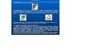 DFGSM3 - MED0501 - Leptospirose / Hantavirose - Leptospirose : Traitement / Prévention