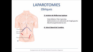 session 2 cours 4 voies d'abord et anatomie