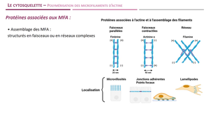 UE14-Module3-Séq6
