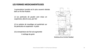 PASS / L.AS - Semestre 1 - UE 11 - Bases pharmacologiques du médicament - Les formes de médicaments : introduction, poudres et comprimés