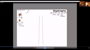paroi thoracique et diaphragme