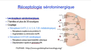 DFGSM2 - MED0303 - Système sérotoninergique - Domaine 5-Htergique, sa biosynthèse, son stockage, son devenir, le fonctionnement de la synapse et les différents types de récepteurs