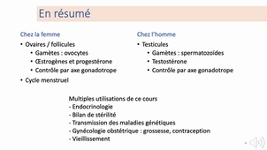 2.2 physiologie reproduction - p4