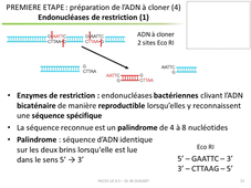 UE9EC3 - CM - JB Oudart - partie 1