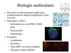 UE MED0302 - Notions fondamentale de pathologie - Séq