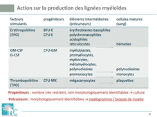 MEDLIB0403 FCH1
