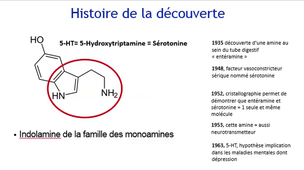 DFGSM2 - MED0303 - Système sérotoninergique - Historique de la découverte de la sérotonine
