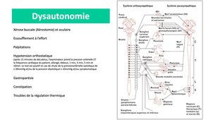 DFGSM2 - MED0308 - Sémiologie neurologique - Anomalie de la miction