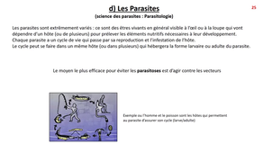 Classification Caractéristiques des Micro-organismes