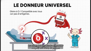 les bases de l'immuno 290426 2