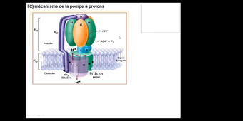 UE1EC2 - CM Zoom - R Garnotel - 10112020
