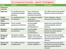 PASS / L.AS - UE 21 - EC 5 - Les muqueuses buccales : particularités régionales