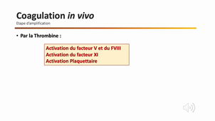 L.AS 3ème année - Semestre 2 - UE 64 - Hématologie - 6