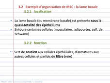 UE2EC2 - CM3+4 - Tissus conjonctifs - vidéo2 - S Caudroy