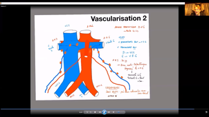 UE24 EC2_Testicules - P5