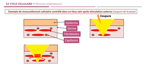 LAS - Module 9 - Annexe 1
