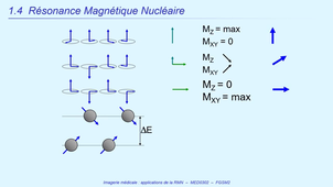 DFGSM2 - MED0302 - Imagerie Médicale - Résonance Magnétique Nucléaire (RMN)