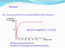 PASS / L.AS - Semestre 1 - UE 12 - Biochimie générale - Protides - Rôles biologiques des protéines (1)