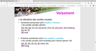 CM Introduction a la linguistique (seance 1A)