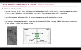 Nouvelle vidéo