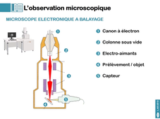L.AS UE13 - CM1 - Définitions technique et microscopie 4