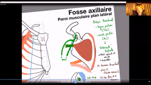 UE24 EC2_Gland mammaire - P4