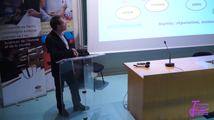 Journées de Rentrée des Ecoles Doctorales 2019