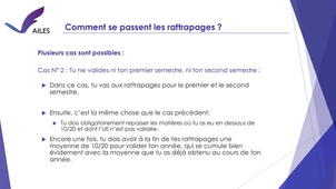 Comment fonctionne l'année universitaire en semestres ?