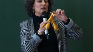 A la découverte du Clitoris