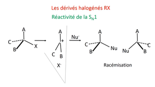 PASS / L.AS - UE 12 - Bases de chimie - Les dérivés monofonctionnels à fonction alcool, amine, halogénée