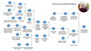 Arbre des causes accident de Maryse