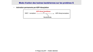 DFGSM2 - MED0402 - Récepteurs, ligands et hormones - Récepteurs à sept traversées de membrane (récepteurs couplés aux protéines G, RCPG)